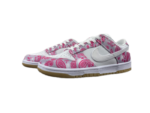 Nike Dunk Low Retro Sp CT5053-061