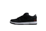 Nike SB Dunk Low Wasted Youth - DD8386-001